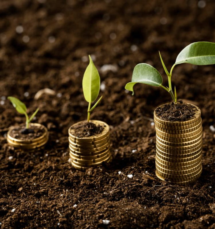 coins with plant